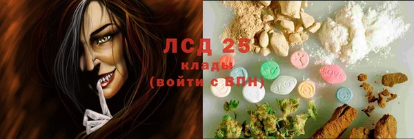 ГАЛЛЮЦИНОГЕННЫЕ ГРИБЫ Нея
