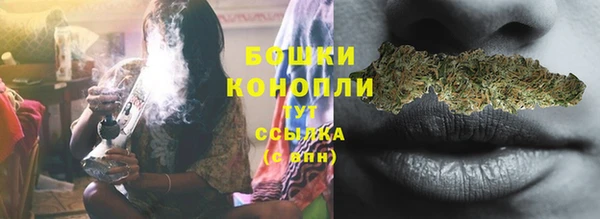 PSILOCYBIN Белокуриха