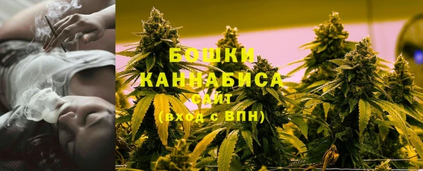 ГАЛЛЮЦИНОГЕННЫЕ ГРИБЫ Нея