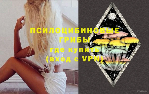 ГАЛЛЮЦИНОГЕННЫЕ ГРИБЫ Нея