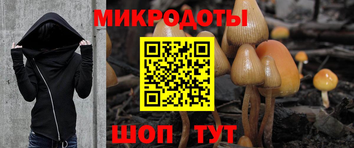 Галлюциногенные грибы MAGIC MUSHROOMS  Вход с VPN  Усть-Лабинск  Псилоцибиновые грибы Psilocybe 